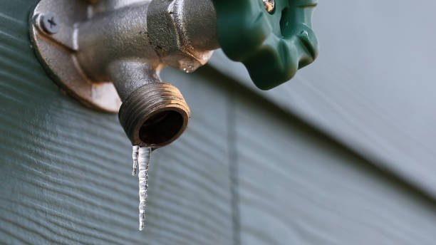 Best Sewer Line Repair  in Moultrie, GA